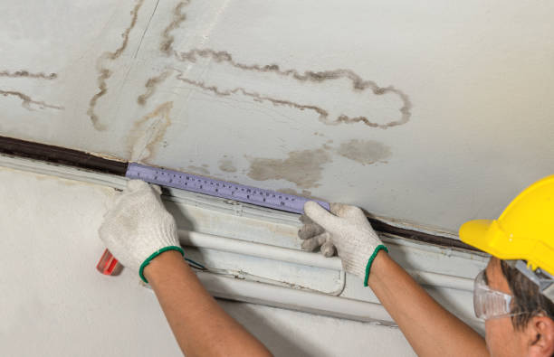 Reliable Mold Remediation contractor in Davisburg, MI by Local Water Damage Repair